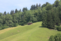 Allgaeu-2013