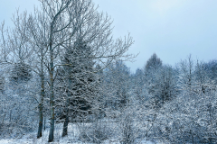 brevetschnee2