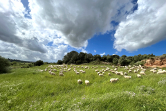 Tag-1-Landschaft