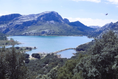 Tag-9-puig-major